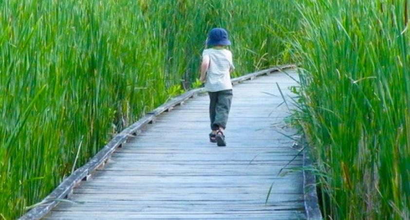 Boy running on wood boardwalk through grass