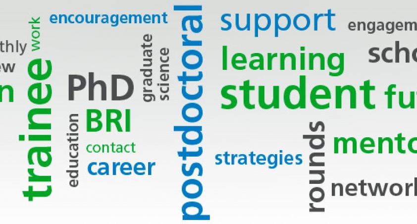 Banner with BRI key words