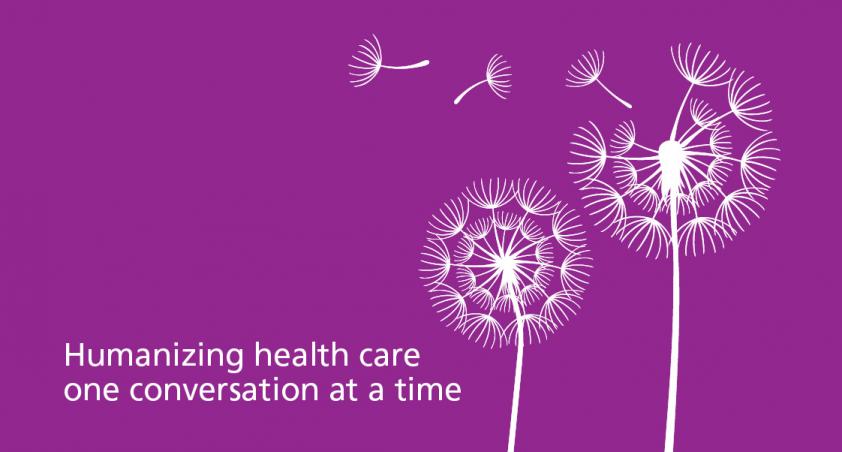 dandelions on purple