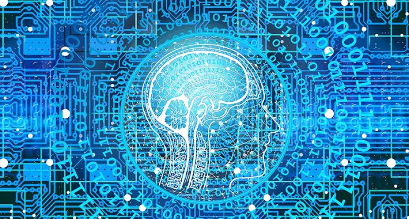 Digital photo creation with a human brain with unlimited knowledge spreading around