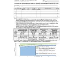 HINE Scoring Aid Snapshot