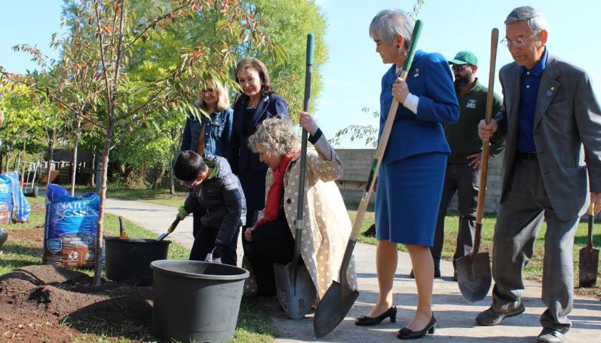 Tree planting with members of the Rotary Club of Toronto Forest Hill and Consul-General of Japan in Toronto