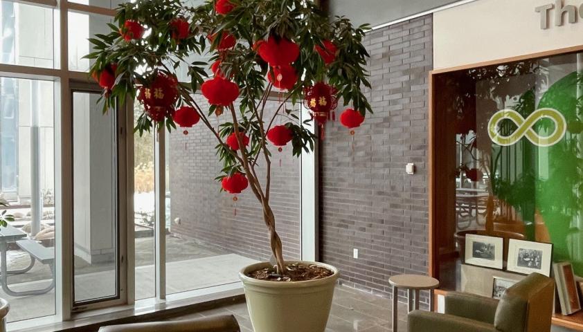 Red paper decorations hanging from the branches of a tree in the Holland Bloorview atrium, to depict Lunar New Year