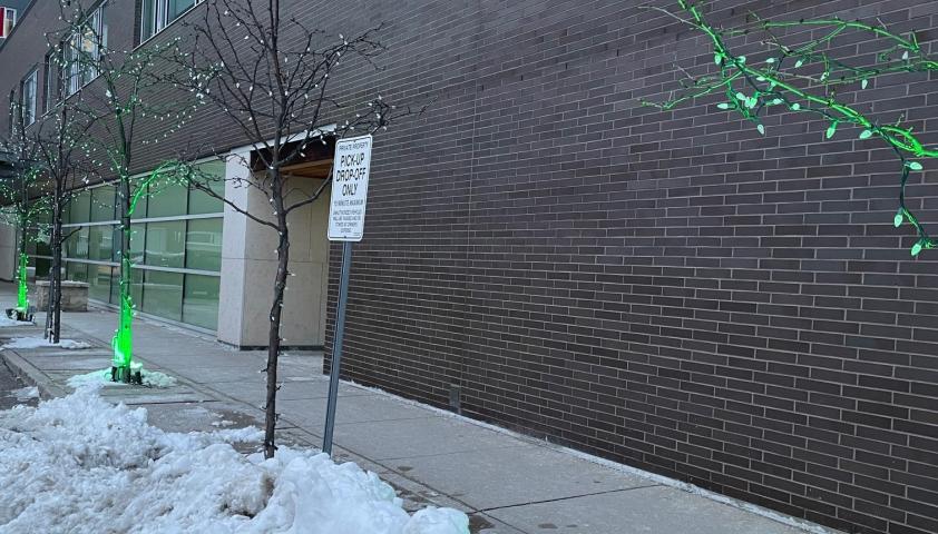 Green lights are strung along small trees, along a paved pathway. There is snow on the ground. This is to signify the National Day of Remembrance of the Quebec City Mosque Attack and action against Islamophobia.