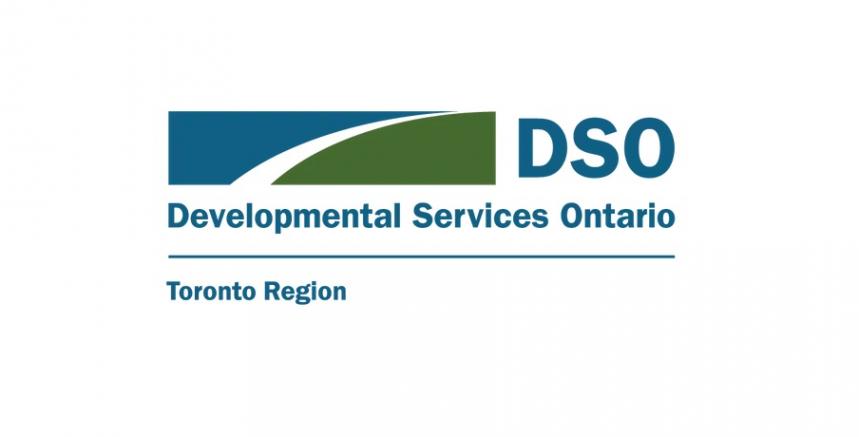 DSO logo