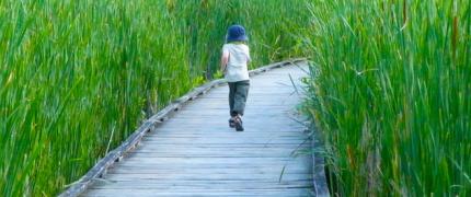 Boy running on wood boardwalk through grass