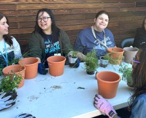 Four adults doing planting