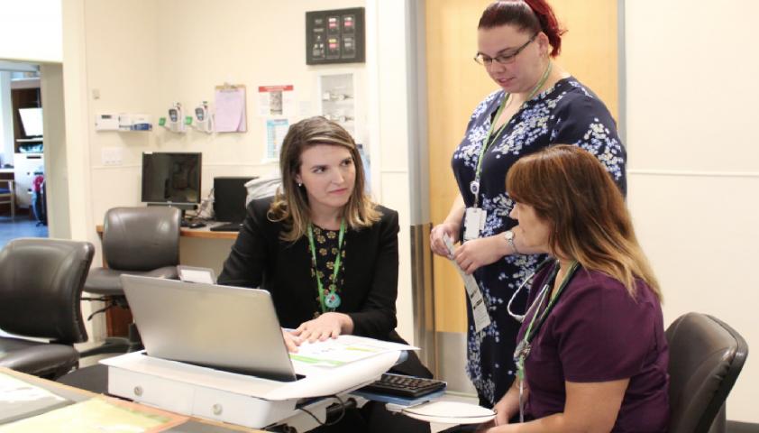 The team collaborating.