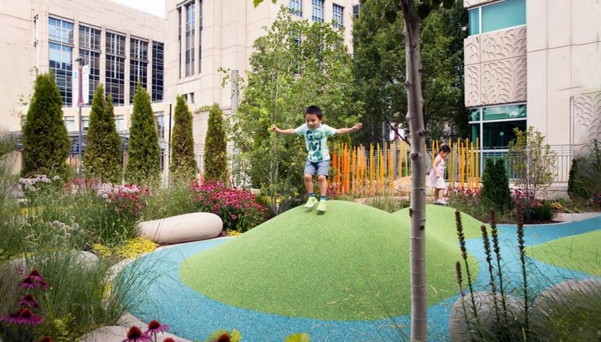 playground grounds